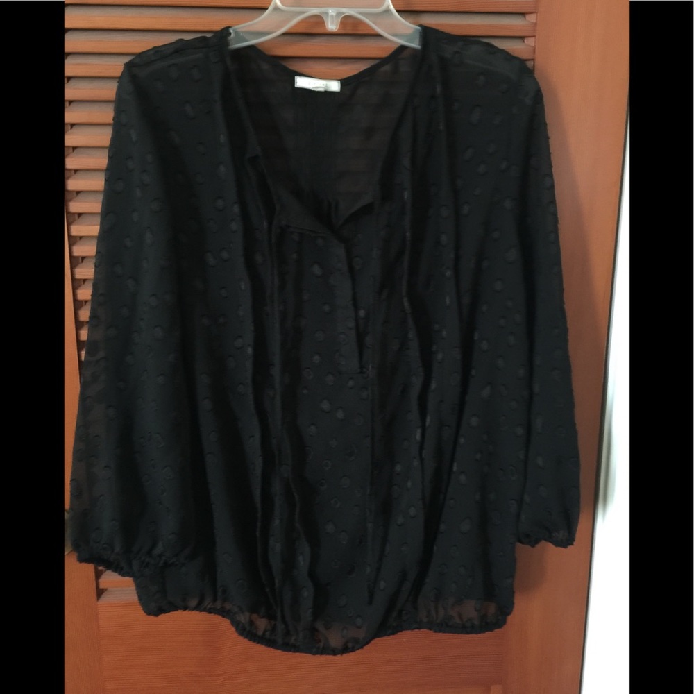 Pleione sheer polka dot from Nordstrom Pleione